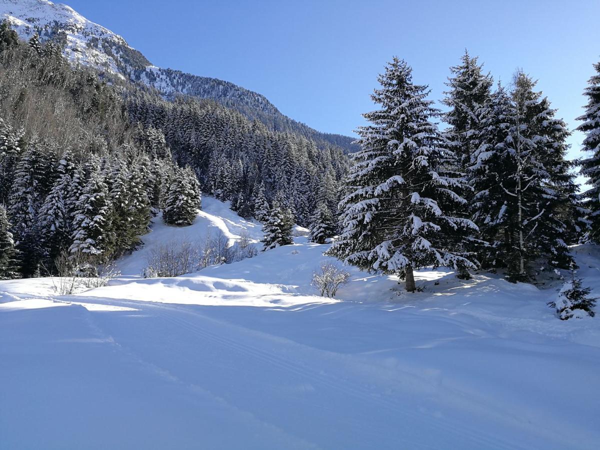 Apartament Haus Waldesruh Neustift im Stubaital Zewnętrze zdjęcie
