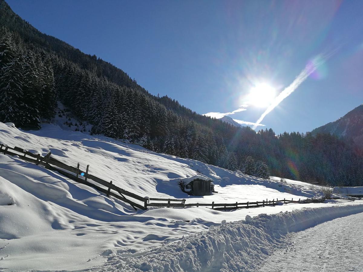 Apartament Haus Waldesruh Neustift im Stubaital Zewnętrze zdjęcie